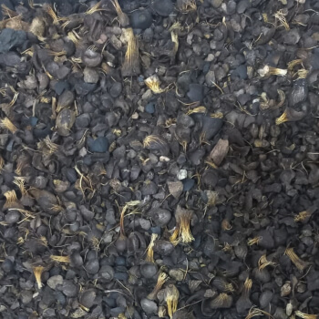 cascarilla-aceite-palma-extractora-sur-del-casanare