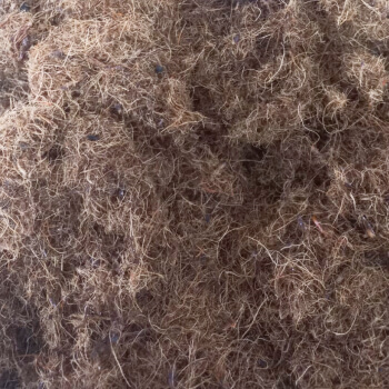 fibra-aceite-palma-extractora-sur-del-casanar