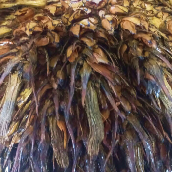 tusa-aceite-palma-extractora-sur-del-casanare