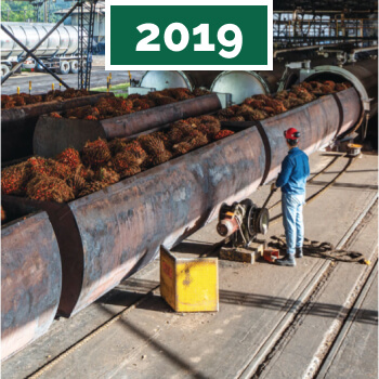 2019-reporte-sostenibilidad-extractora-de-sur-de-casanare