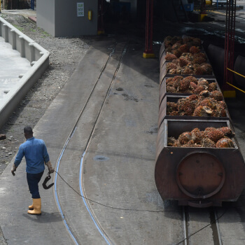 2020-sustainability-report-extractora-de-sur-de-casanare