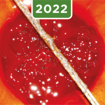 2022-reporte-sostenibilidad-extractora-de-sur-de-casanare