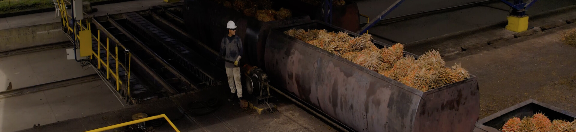 banner-docuemntos-publicos-extractora-de-sur-de-casanareaceite-de-palma-colombia