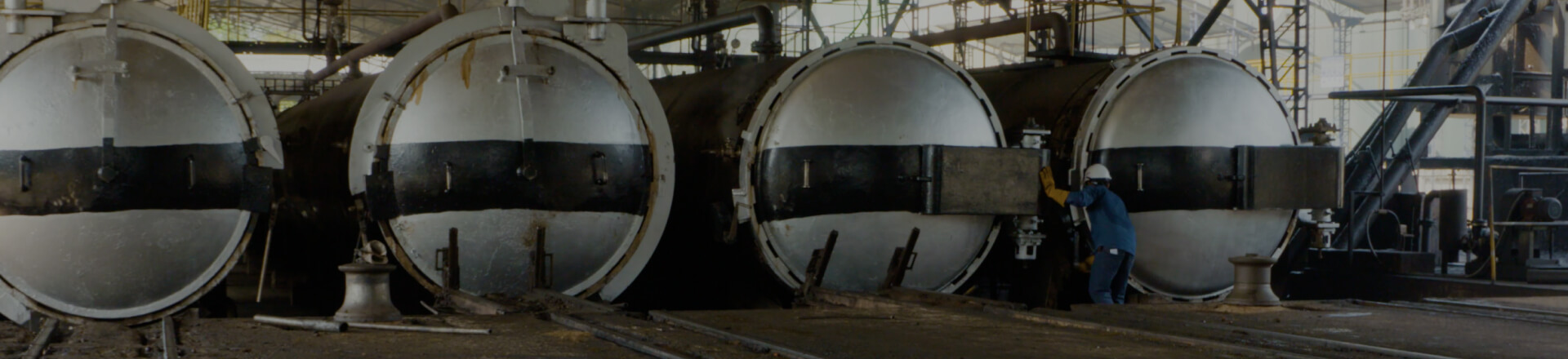 banner-nosotros-extractora-del-sur-de-casanare-palma-de-aceite-colombia