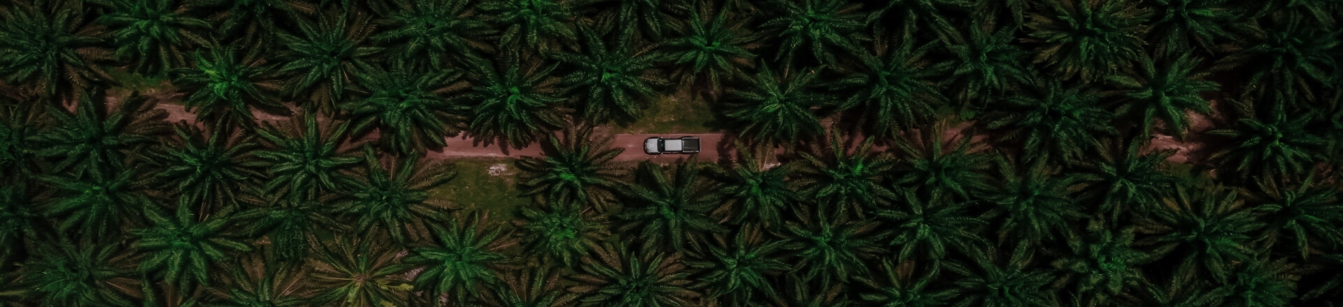 hero-contacto-extractora-sur-del-casanare