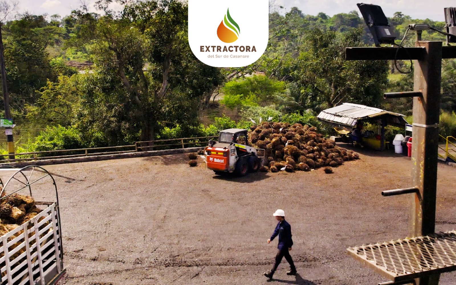 extractora-news-22-07-2026